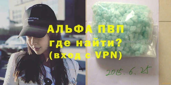 стаф Абинск