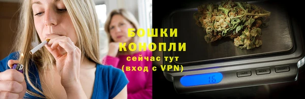 прущие грибы Абдулино