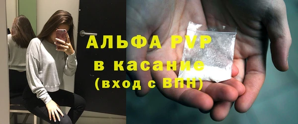 стаф Абинск