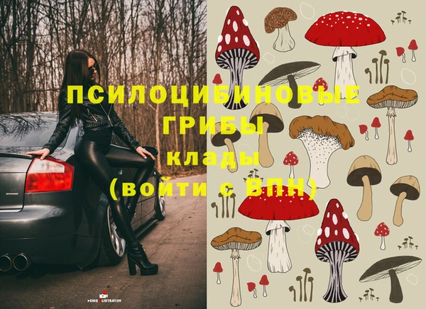 стаф Абинск