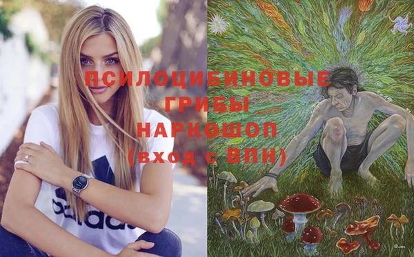 стаф Абинск