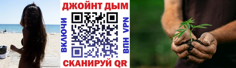 Марихуана MAZAR  darknet Telegram  Сертолово  хочу   KRAKEN сайт 